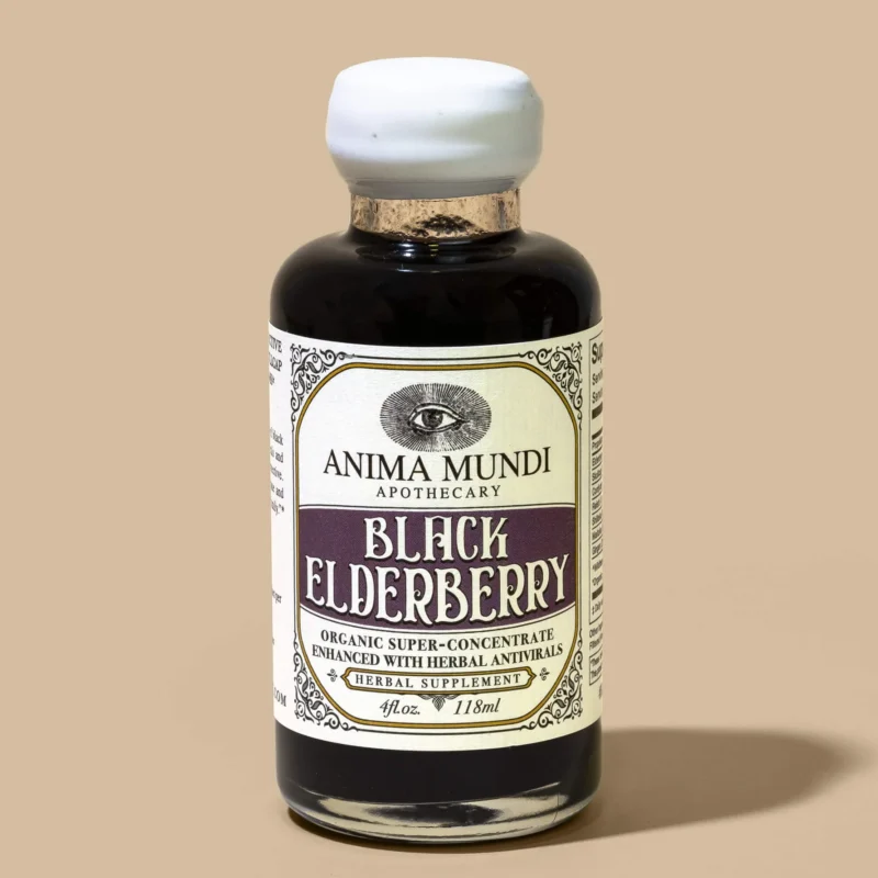 Anima Mundi Black Elderberry Elixir